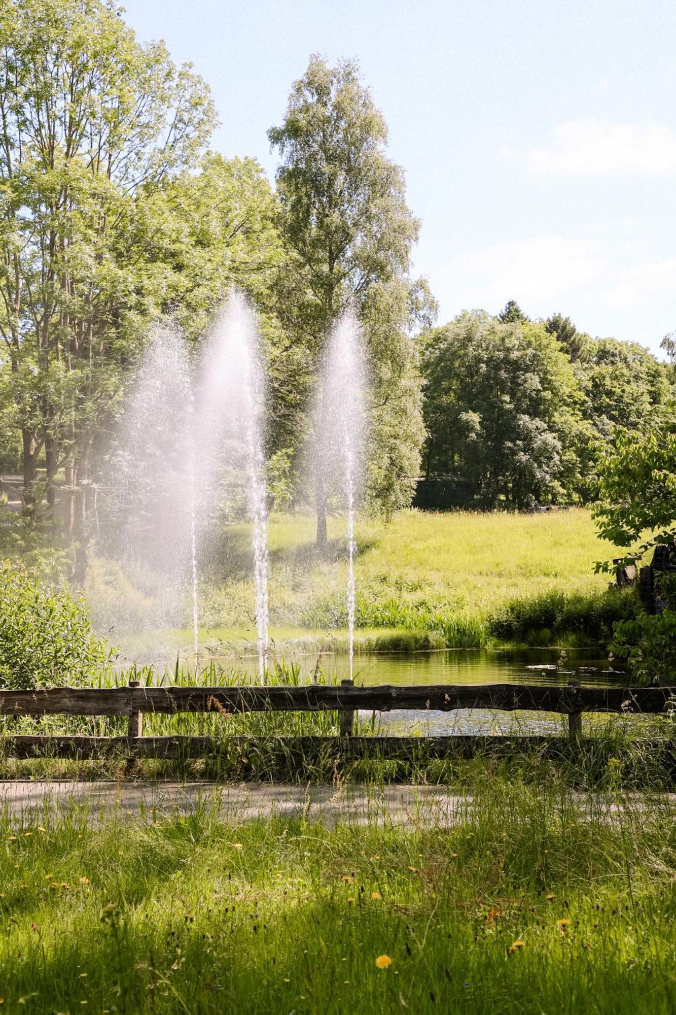 Apartment 540, Oberharz, Mit Schwimmbad Und Sauna Braunlage Bagian luar foto